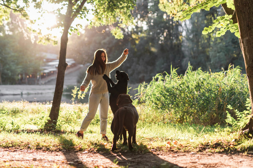 How do I prevent fleas, ticks, and worms?