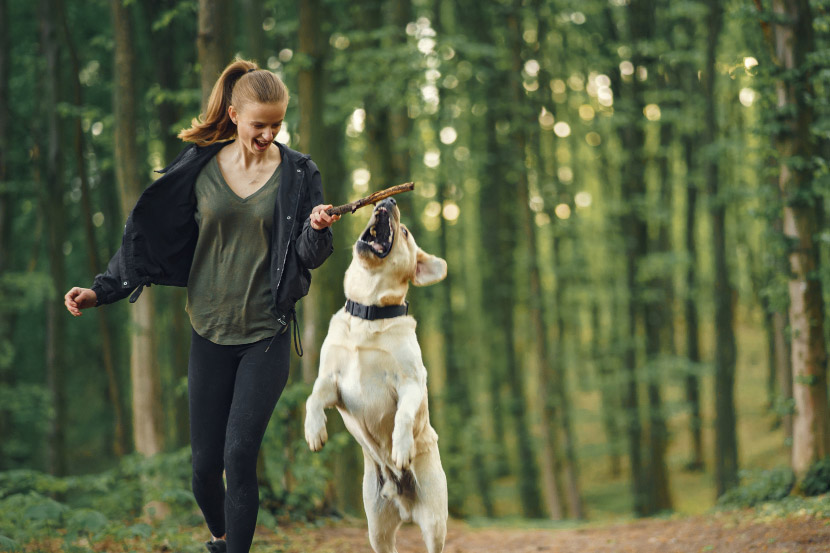 How much exercise does my pet need?