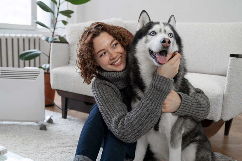 How to introduce your pet to strangers