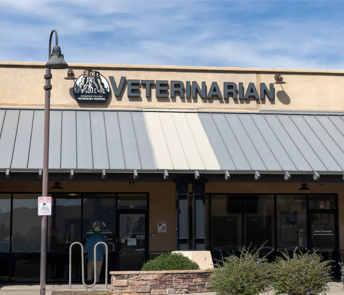 exterior of animal hospital