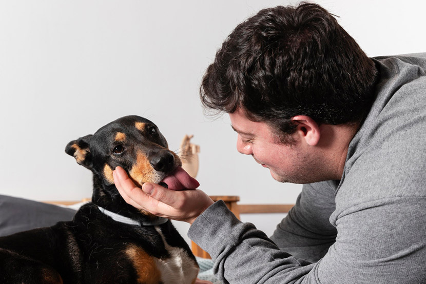 Spotting Parvo Early: Protecting Your Pets in South Mountain