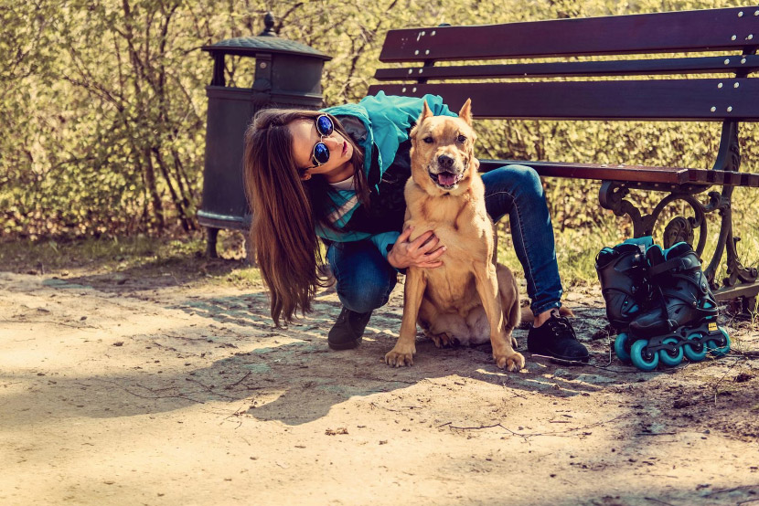 Spring Refresh Done Right: Keeping Your Pets Safe During Seasonal Cleaning