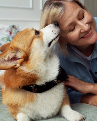 Dobbins Village Veterinary Hospital – Your Pet Looks Healthy, but What Is Happening on the Inside